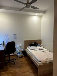 Parc Palais (D21), Condominium #483256411